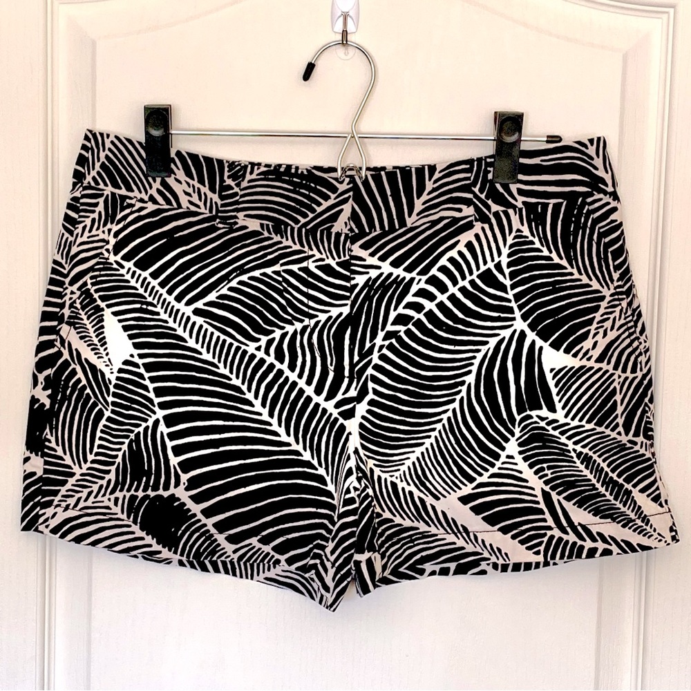 Ann Taylor LOFT Shorts